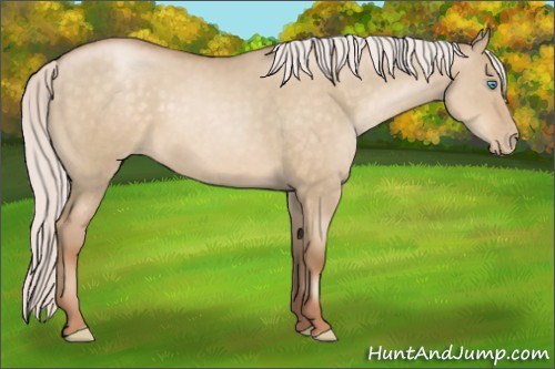 Horse Color:Silver Buckskin Pearl Dun 