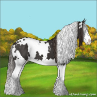 Horse Color:White Spotted Liver Chestnut Splash 