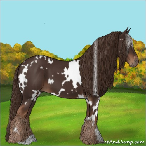 Horse Color:White Spotted Liver Chestnut 