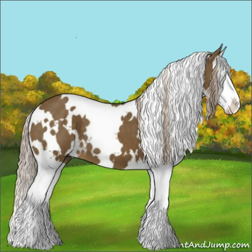 Horse Color:White Spotted Chocolate Palomino Splash 