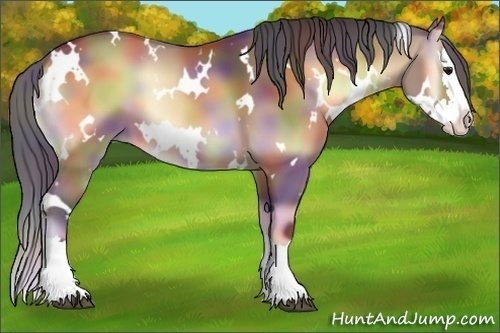 Horse Color:Nacre White Spotted Bay Onyx Splash