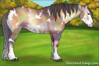 Horse Color:Nacre White Spotted Bay Onyx Splash
