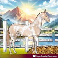 Horse Color:White Spotted Buckskin Pearl 