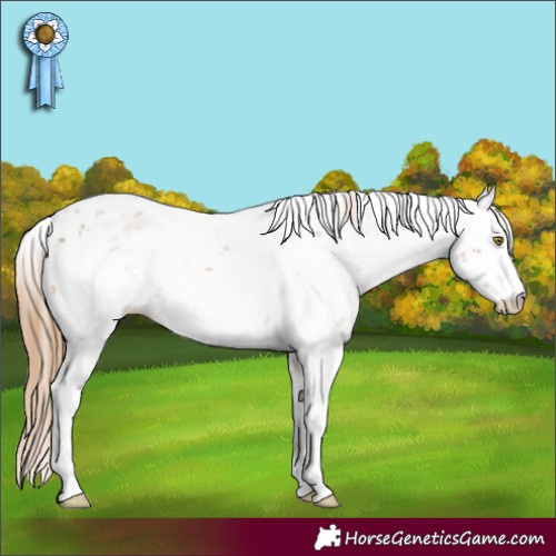Horse Color:Chestnut Pearl Sabino