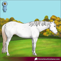 Horse Color:Chestnut Pearl Sabino 