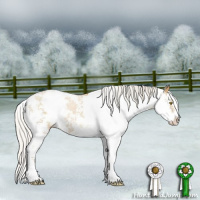 Horse Color:Silver Buckskin Mushroom Sabino 