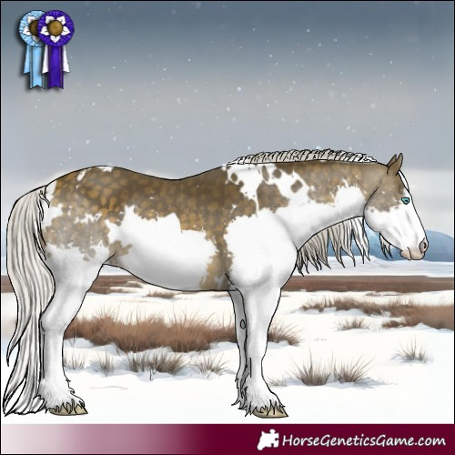 Horse Color:White Spotted Silver Buckskin Splash 