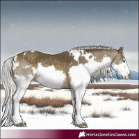 Horse Color:White Spotted Silver Buckskin Splash 