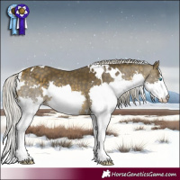 Horse Color:White Spotted Silver Buckskin Splash 