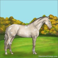 Horse Color:White Spotted Chocolate Palomino Pearl Dun Sabino 