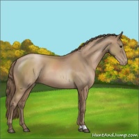 Horse Color:Black Pearl 