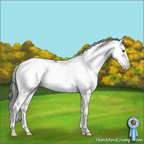 Horse Color:Brown Dun Sabino Rabicano
