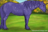 Horse Color:Watercolor Black 