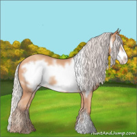 Horse Color:Silver Amber Champagne Frame 