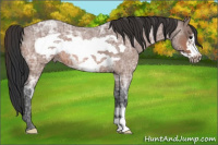 Horse Color:Bay Ice Roan Frame 