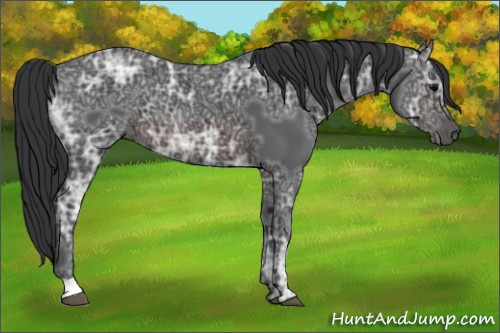 Horse Color:Brown Ice 