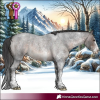 Horse Color:White Spotted Brown Roan Appaloosa