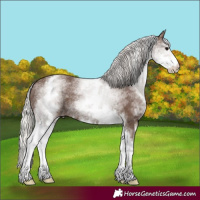 Horse Color:White Spotted Silver Black 