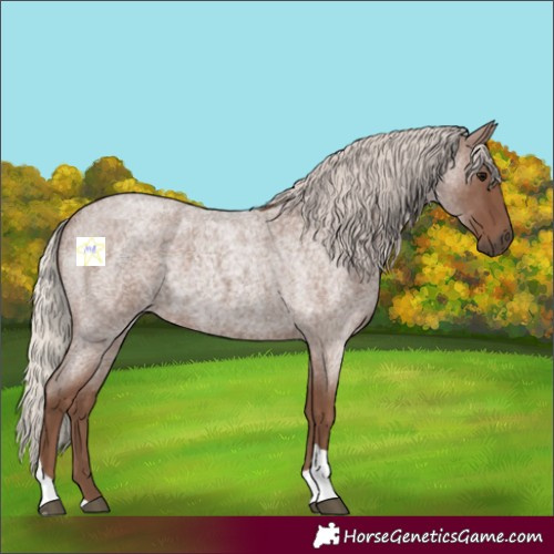 Horse Color:Silver Blue Roan Tobiano