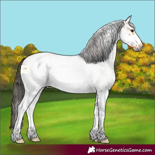 Horse Color:White Spotted Bay Roan Dun Frame 