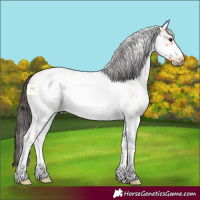 Horse Color:White Spotted Bay Roan Dun Frame 