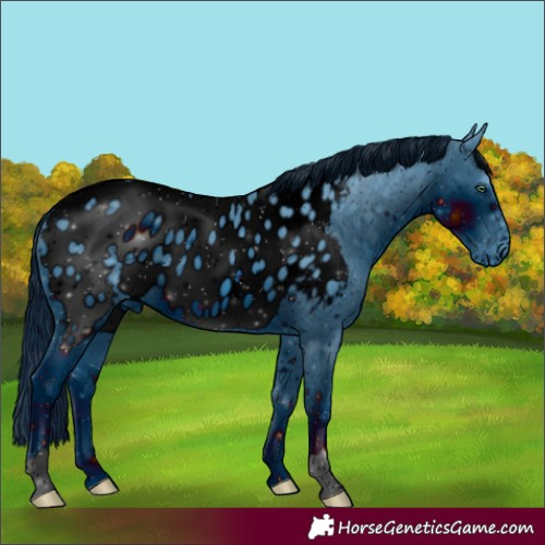 Horse Color:ERROR: UNKNOWN ANOMALY