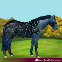 Horse Color:ERROR: UNKNOWN ANOMALY