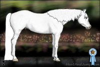 Horse Color:Gray Chestnut Sabino Splash 