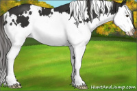 Horse Color:White Spotted Liver Chestnut Splash 