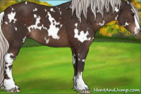 Horse Color:White Spotted Silver Brown Sabino 