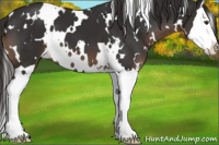 Horse Color:White Spotted Liver Chestnut Splash 