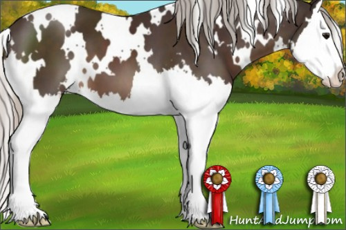 Horse Color:White Spotted Silver Brown Sabino Splash 