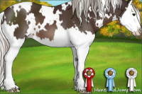 Horse Color:White Spotted Silver Brown Sabino Splash 