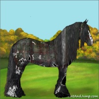 Horse Color:Plaid  White Spotted Bay Ice Sabino 