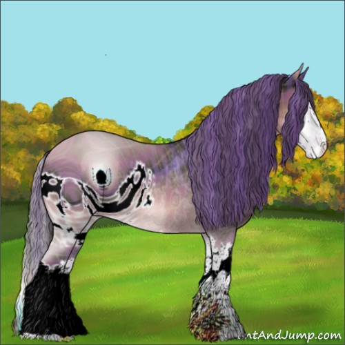 Horse Color:ERROR: UNKNOWN ANOMALY