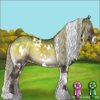 Horse Color:Plaid  White Spotted Silver Brown Onyx 