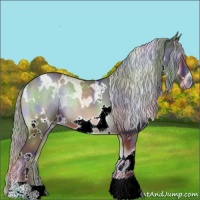 Horse Color:Nacre White Spotted Silver Bay Onyx 