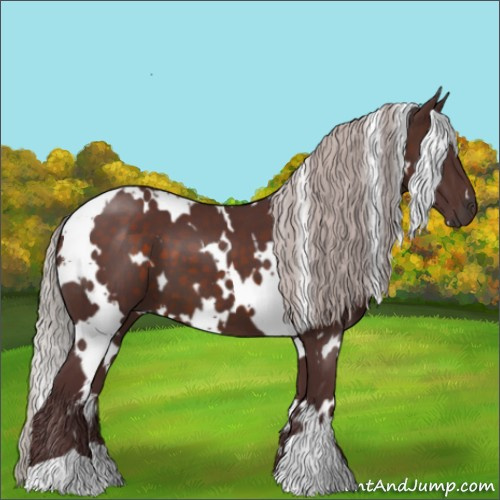 Horse Color:White Spotted Chocolate Silver Brown 