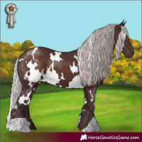 Horse Color:White Spotted Chocolate Silver Brown 