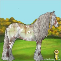 Horse Color:Plaid  White Spotted Silver Bay Ice Onyx 