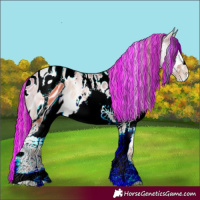 Horse Color:ERROR: UNKNOWN ANOMALY