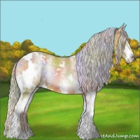 Horse Color:Nacre Watercolor White Spotted Silver Bay Onyx 