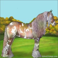 Horse Color:Nacre White Spotted Silver Bay Onyx