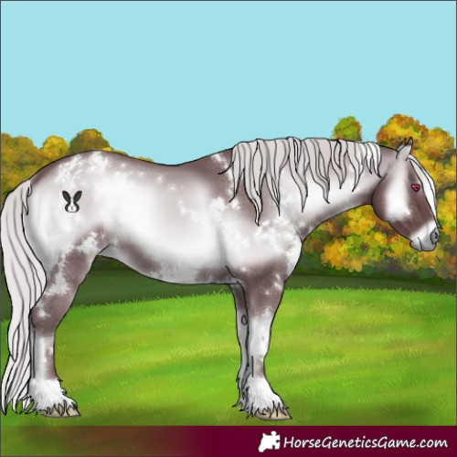 Horse Color:White Spotted Chocolate Silver Blue Onyx Chinchilla 