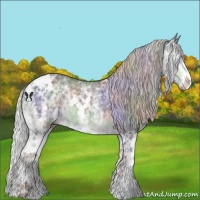Horse Color:Nacre White Spotted Silver Black Chinchilla Ice Sabino 