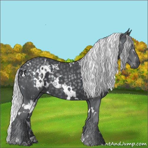 Horse Color:White Spotted Silver Black Chinchilla