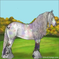 Horse Color:Nacre White Spotted Silver Bay Chinchilla 