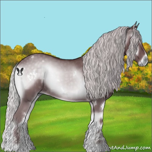 Horse Color:White Spotted Chocolate Silver Blue Onyx Chinchilla