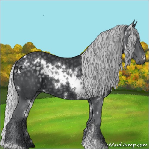 Horse Color:White Spotted Silver Black Chinchilla 