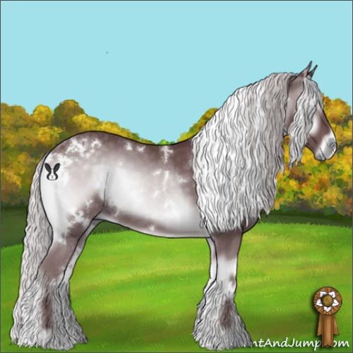 Horse Color:White Spotted Chocolate Silver Blue Onyx Chinchilla